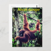 Orangutan hängt in Baum Postkarte (Vorne/Hinten)