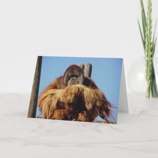 Orangutan Happy Birthday Template Card Karte (Vorderseite)