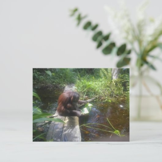 Orangutan im Borneo-Wald Postkarte (Stehend Vorderseite)