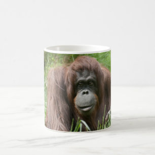 Orangutan Kaffeetasse
