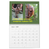 Orangutan Kalender (Mär 2027)