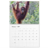 Orangutan Kalender (Feb 2027)