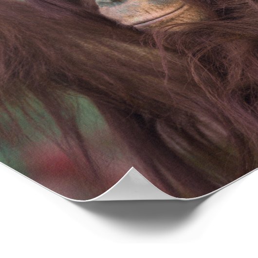 Orangutan Kayan Poster (Ecke)