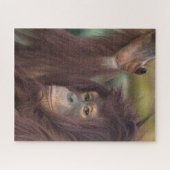 Orangutan Kayan Puzzle (Horizontal)