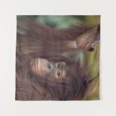 Orangutan Kayan Wandteppich (Vorderseite (Horizontal))