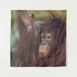 Orangutan Kayan Wandteppich