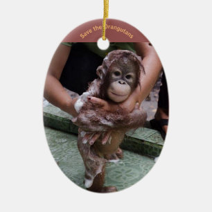 Orangutan Keramik Ornament