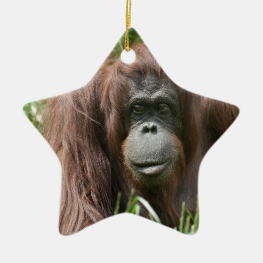 Orangutan Keramikornament (Vorne)