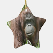 Orangutan Keramikornament (Links)