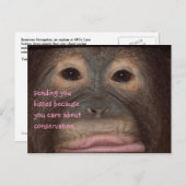 Orangutan Kisses für die Erhaltung Postkarte (Vorne/Hinten)