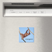 Orangutan Kühlschrank Magnet (In Situ (Geschirrspüler))
