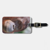 Orangutan Lady Gepäckanhänger (Vorderseite horizontal)