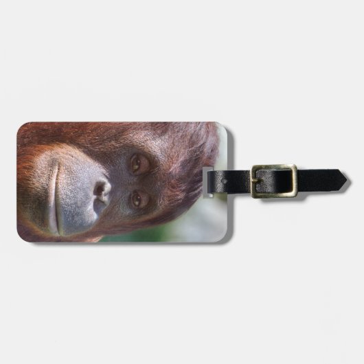 Orangutan Lady Gepäckanhänger (Vorderseite horizontal)