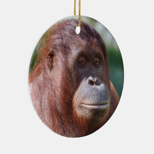 Orangutan Lady Keramikornament (Rechts)