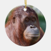 Orangutan Lady Keramikornament (Vorne)