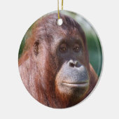 Orangutan Lady Keramikornament (Links)