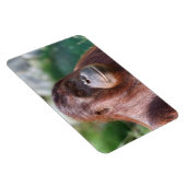 Orangutan Lady Magnet (Rechte Seite)