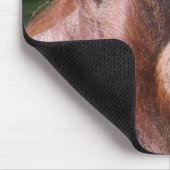 Orangutan Lady Mousepad (Ecke)