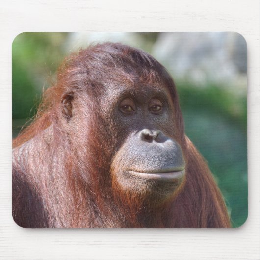 Orangutan Lady Mousepad (Vorne)
