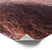 Orangutan Lady Poster (Ecke)