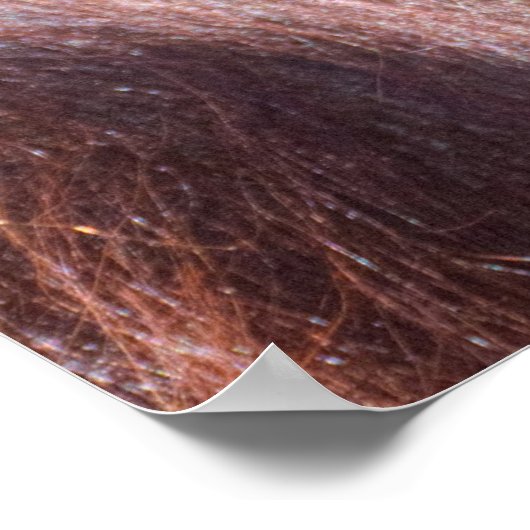 Orangutan Lady Poster (Ecke)