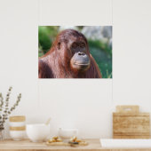 Orangutan Lady Poster (Küche)