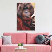 Orangutan Leinwanddruck (Insitu (Wohnzimmer))