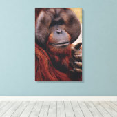 Orangutan Leinwanddruck (Insitu (Holzboden))