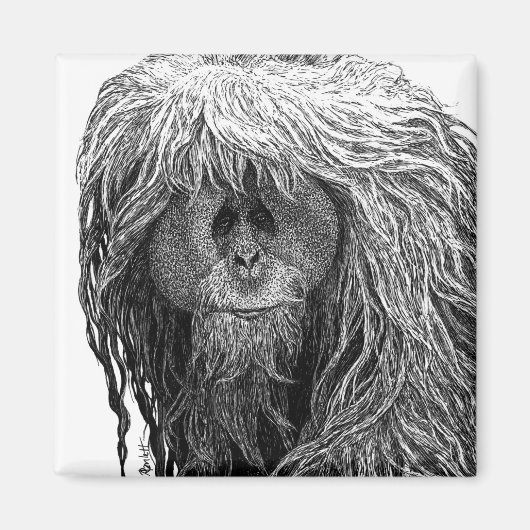 Orangutan Magnet (Vorne)