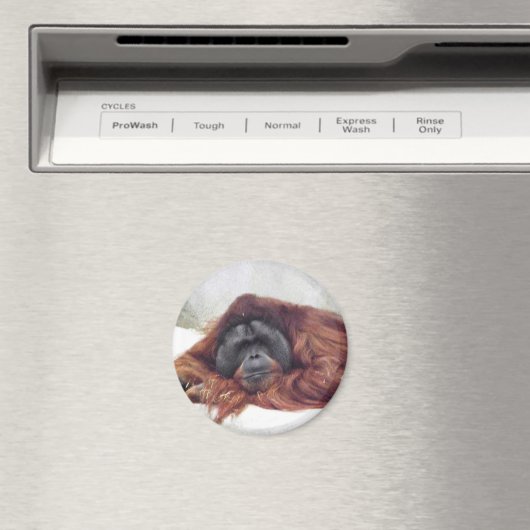 Orangutan Magnet (In Situ (Geschirrspüler))