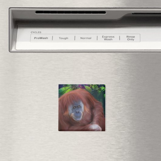 Orangutan Magnet (In Situ (Geschirrspüler))