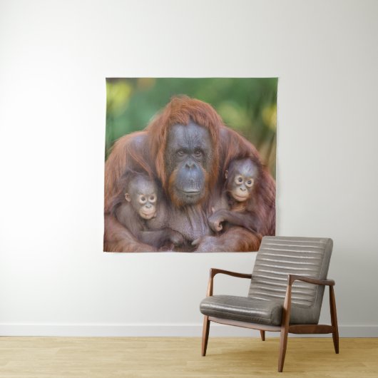 Orangutan Mama beobachtet zwei Babys Wandteppich (Beispiel)