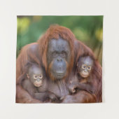 Orangutan Mama beobachtet zwei Babys Wandteppich (Vorderseite)