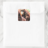 Orangutan Mama und Baby mit Knöcheln Quadratischer Aufkleber (Tasche)