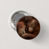 Orangutan Mother and Baby at the Zoo Button (Vorne & Hinten)