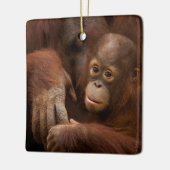 Orangutan Mother and Baby at the Zoo Keramikornament (Links)