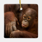 Orangutan Mother and Baby at the Zoo Keramikornament (Vorderseite)