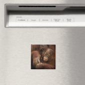 Orangutan Mother and Baby at the Zoo Magnet (In Situ (Geschirrspüler))