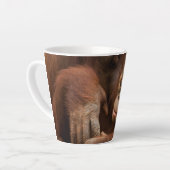 Orangutan Mother and Baby at the Zoo Milchtasse (Linke Ecke)