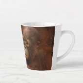 Orangutan Mother and Baby at the Zoo Milchtasse (Rechts)