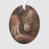 Orangutan Mother and Baby at the Zoo Ornament (Vorderseite)