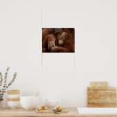 Orangutan Mother and Baby at the Zoo Poster (Küche)