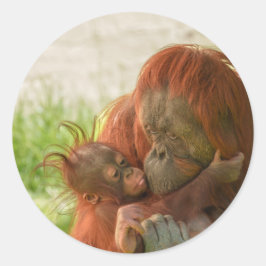 Orangutan Mother Tender Moments Runder Aufkleber