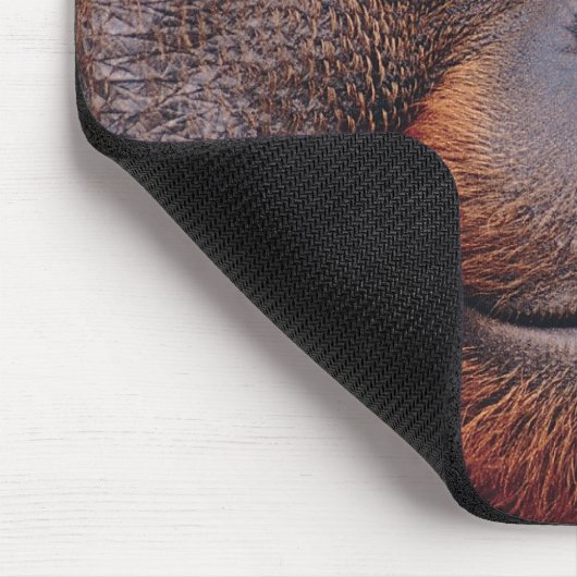 Orangutan Mousepad (Ecke)