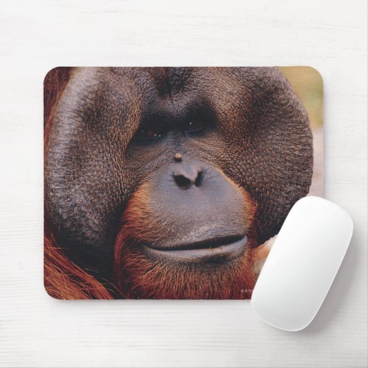 Orangutan Mousepad (Mit Mouse)