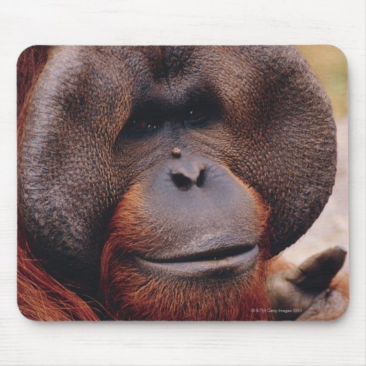 Orangutan Mousepad (Vorne)