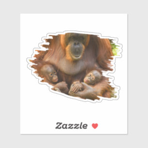 Orangutan Mutter, die zwei Säuglinge hält Aufkleber