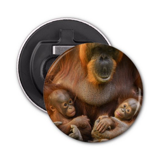 Orangutan Mutter, die zwei Säuglinge hält Flaschenöffner (Vorderseite)