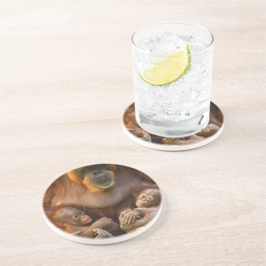 Orangutan Mutter, die zwei Säuglinge hält Getränkeuntersetzer (Seite)