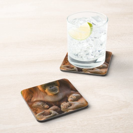 Orangutan Mutter, die zwei Säuglinge hält Getränkeuntersetzer (Rechte Seite)